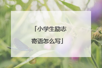 小学生励志寄语怎么写