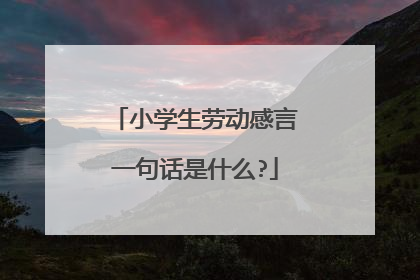小学生劳动感言一句话是什么?