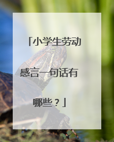 小学生劳动感言一句话有哪些?