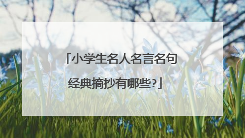小学生名人名言名句经典摘抄有哪些?