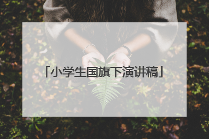小学生国旗下演讲稿