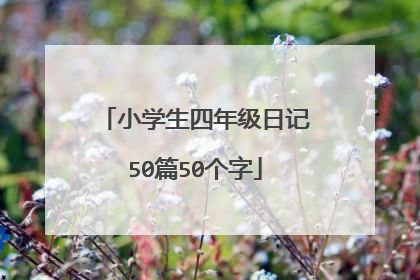 小学生四年级日记50篇50个字