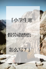 小学生寒假劳动感悟怎么写?