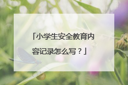 小学生安全教育内容记录怎么写?