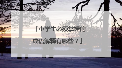 小学生必须掌握的成语解释有哪些?