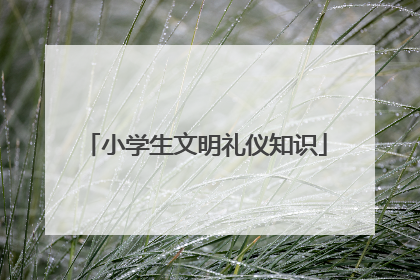 小学生文明礼仪知识
