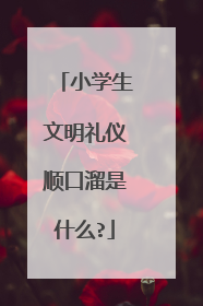 小学生文明礼仪顺口溜是什么?