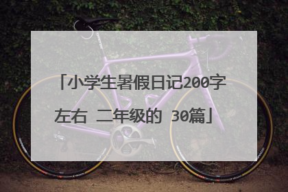 小学生暑假日记200字左右 二年级的 30篇