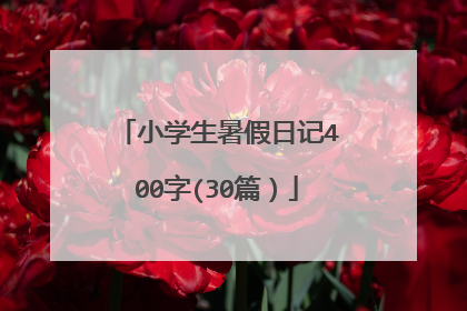 小学生暑假日记400字(30篇）