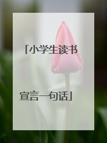 小学生读书宣言一句话