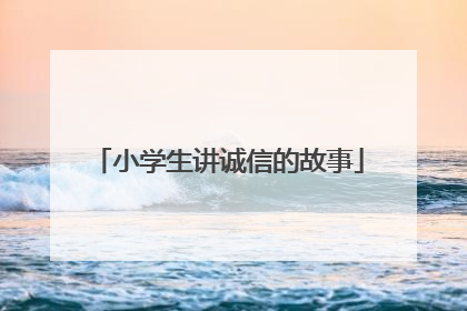 小学生讲诚信的故事