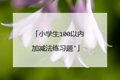 小学生100以内加减法练习题'