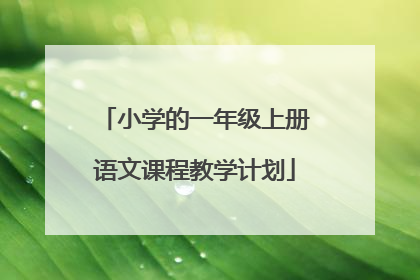 小学的一年级上册语文课程教学计划