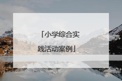 小学综合实践活动案例