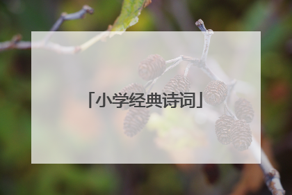 小学经典诗词