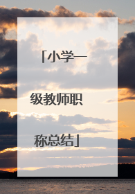 小学一级教师职称总结