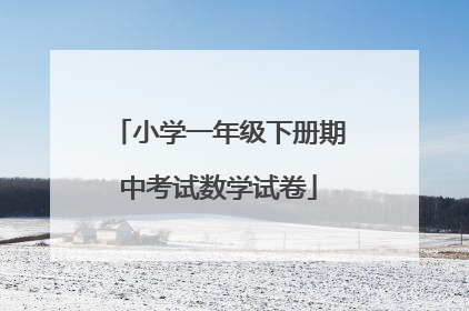 小学一年级下册期中考试数学试卷