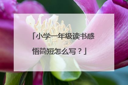 小学一年级读书感悟简短怎么写?