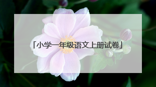 小学一年级语文上册试卷