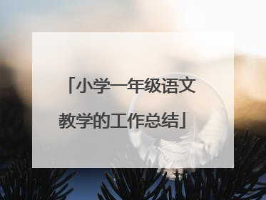 小学一年级语文教学的工作总结
