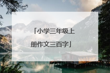 小学三年级上册作文三百字