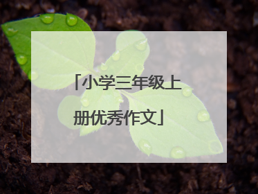 小学三年级上册优秀作文