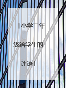 小学二年级给学生的评语