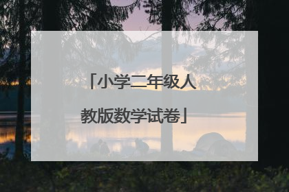 小学二年级人教版数学试卷