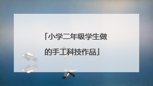 小学二年级学生做的手工科技作品
