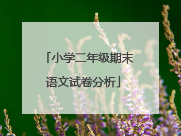 小学二年级期末语文试卷分析