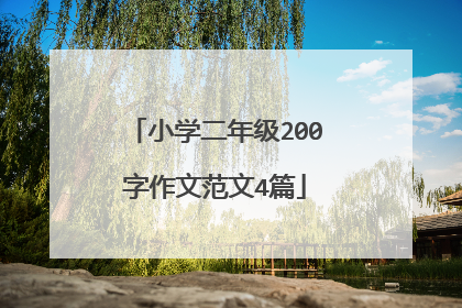 小学二年级200字作文范文4篇