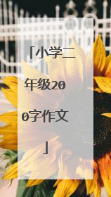 小学二年级200字作文