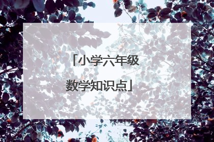 小学六年级数学知识点