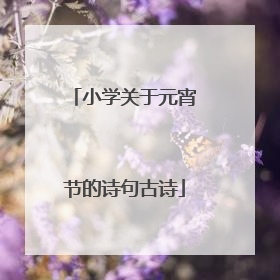 小学关于元宵节的诗句古诗