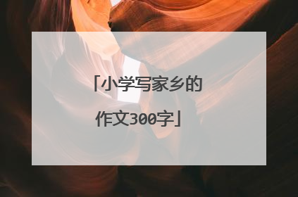 小学写家乡的作文300字