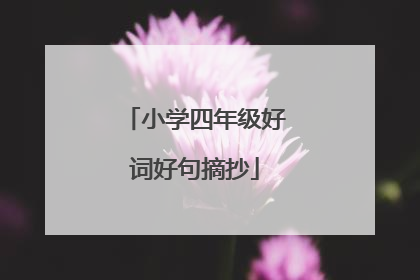 小学四年级好词好句摘抄