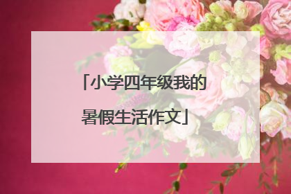 小学四年级我的暑假生活作文
