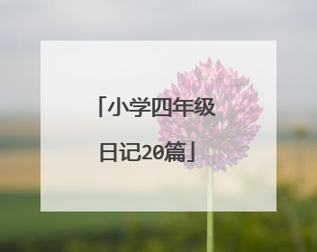 小学四年级日记20篇
