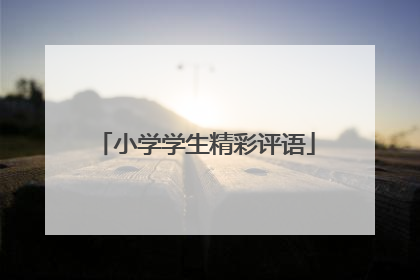小学学生精彩评语