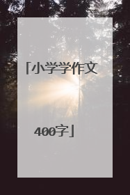 小学学作文400字