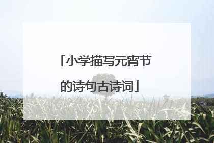 小学描写元宵节的诗句古诗词