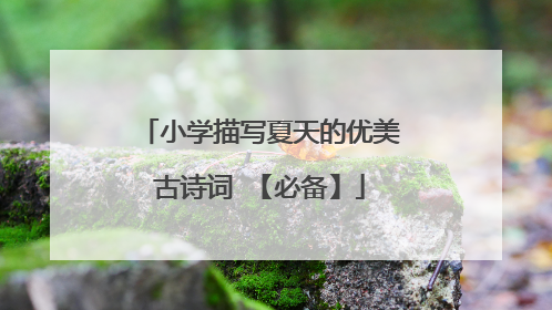 小学描写夏天的优美古诗词 【必备】