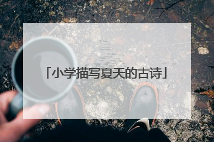 小学描写夏天的古诗