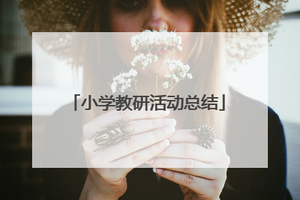 小学教研活动总结
