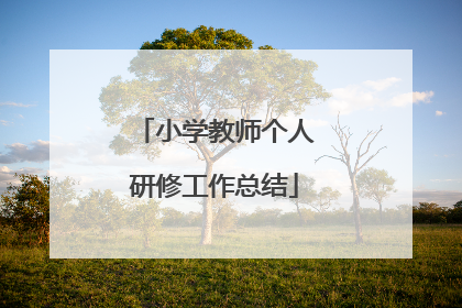 小学教师个人研修工作总结