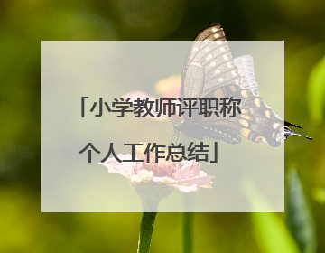 小学教师评职称个人工作总结