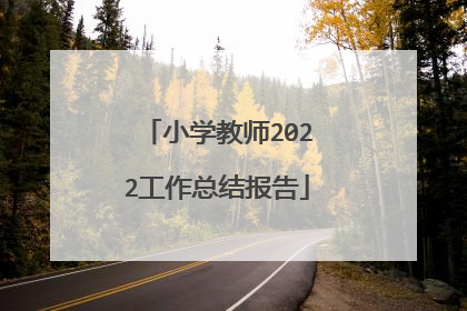 小学教师2022工作总结报告