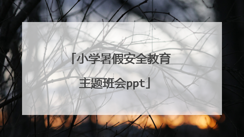 小学暑假安全教育主题班会ppt