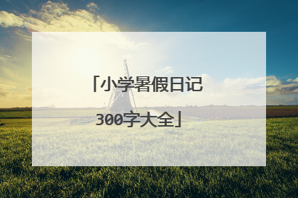 小学暑假日记300字大全