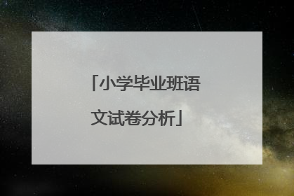 小学毕业班语文试卷分析